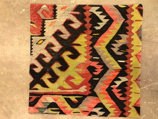 24" One of a kind Cicum Pillows