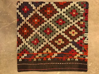 24" One of a kind Cicum Pillows