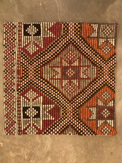 24" One of a kind Cicum Pillows