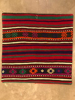 24" One of a kind Cicum Pillows