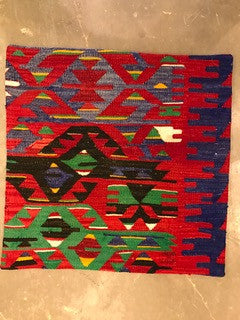 24" One of a kind Cicum Pillows