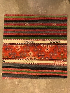 24" One of a kind Cicum Pillows