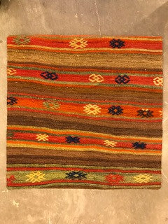 24" One of a kind Cicum Pillows