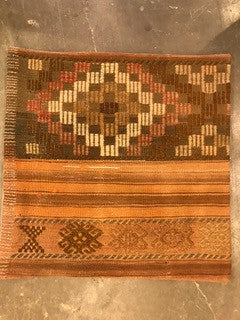 24" One of a kind Cicum Pillows