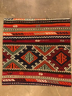 24" One of a kind Cicum Pillows
