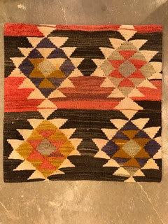 24" One of a kind Cicum Pillows