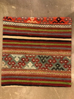 24" One of a kind Cicum Pillows