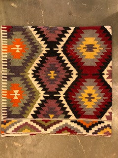 24" One of a kind Cicum Pillows