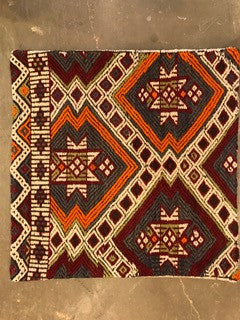 24" One of a kind Cicum Pillows