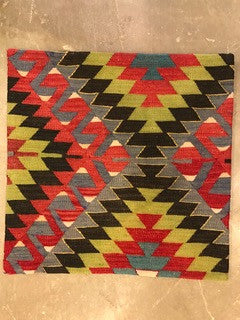 24" One of a kind Cicum Pillows