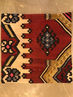 24" One of a kind Cicum Pillows