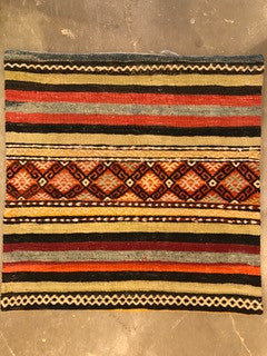 24" One of a kind Cicum Pillows