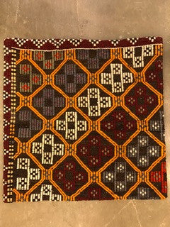 24" One of a kind Cicum Pillows