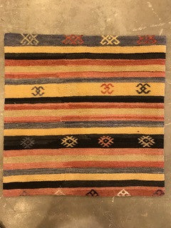 24" One of a kind Cicum Pillows