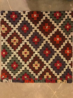 24" One of a kind Cicum Pillows