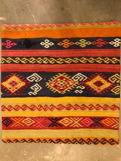 24" One of a kind Cicum Pillows