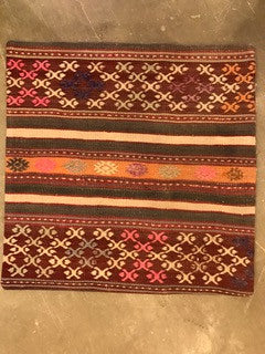24" One of a kind Cicum Pillows