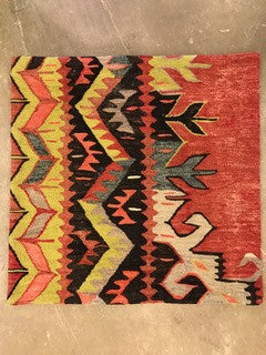 24" One of a kind Cicum Pillows