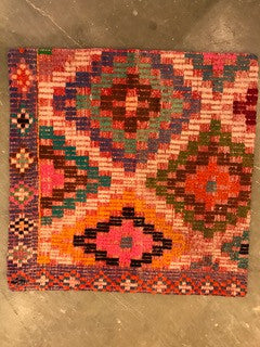 24" One of a kind Cicum Pillows