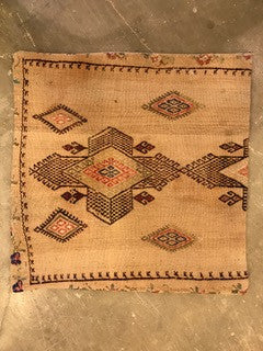 24" One of a kind Cicum Pillows
