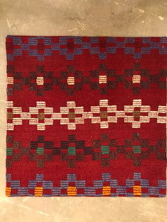 24" One of a kind Cicum Pillows