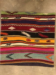 24" One of a kind Cicum Pillows