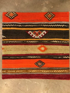 24" One of a kind Cicum Pillows