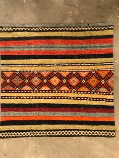 24" One of a kind Cicum Pillows