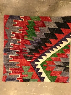 24" One of a kind Cicum Pillows