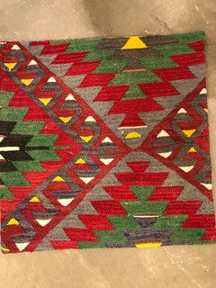 24" One of a kind Cicum Pillows